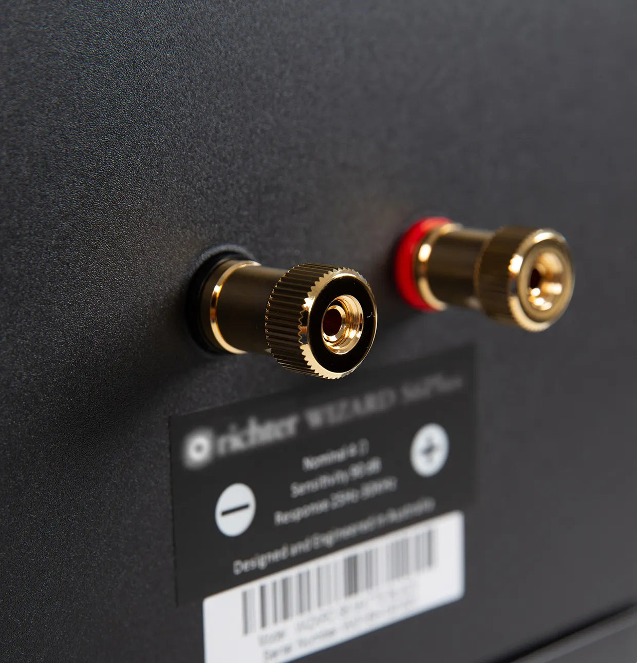 Richter Wizard S6Plus