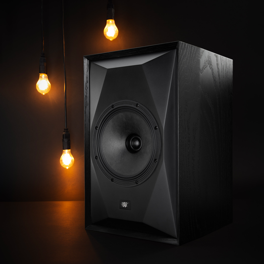 Mofi Electronics Sourcepoint 8 Speakers