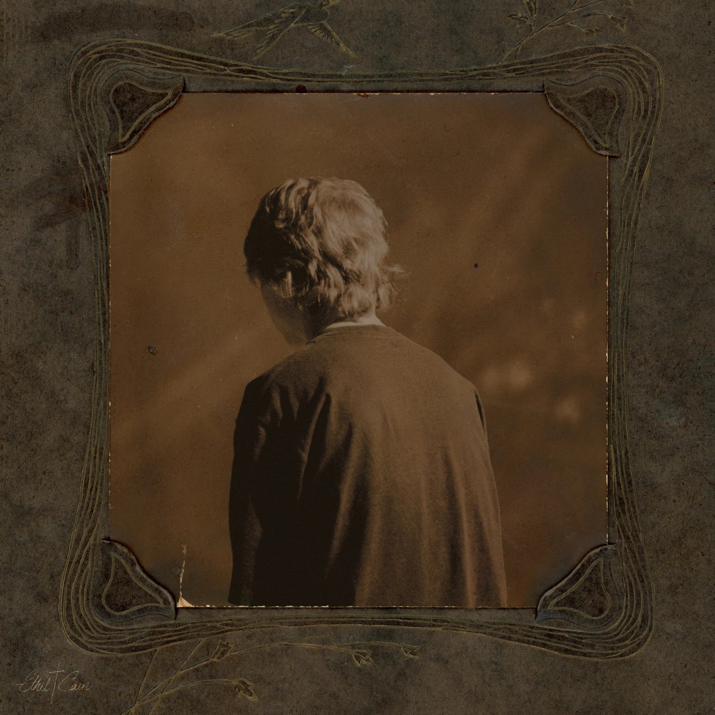Ethel Cain- Willoughby Tucker, I’ll Always Love You. [LP]