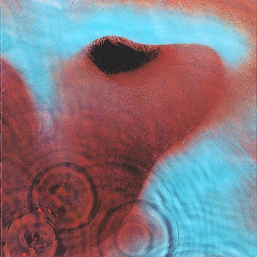 Pink Floyd - Meddle [LP]