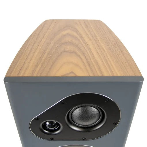 Richter Aurora Series 7 Special Edition