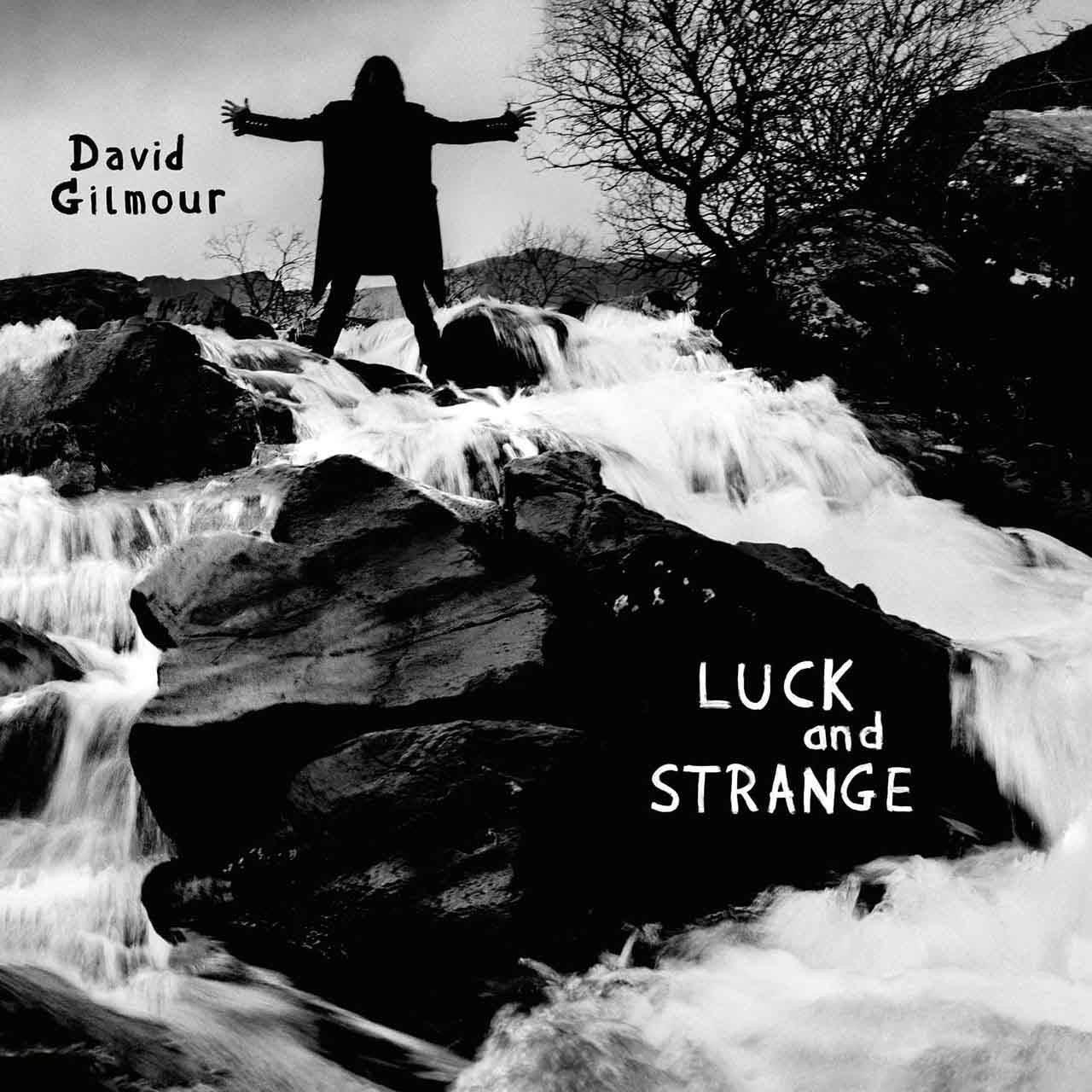 David Gilmour - Luck and Strange [LP]